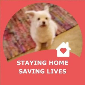 Meet your Posher, Connie